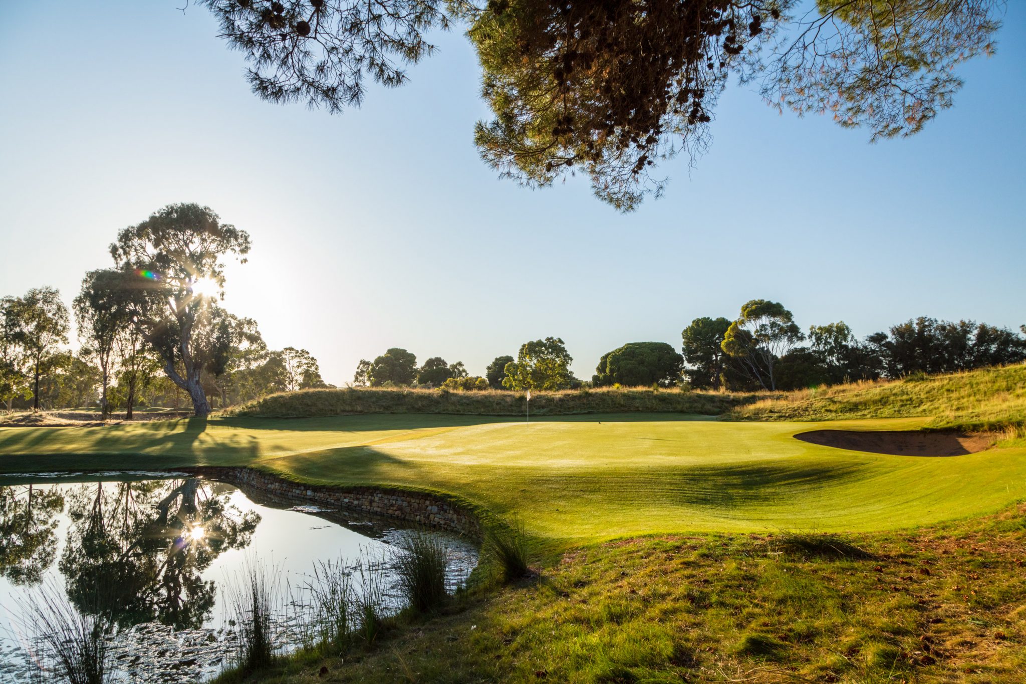 kooyonga course tour